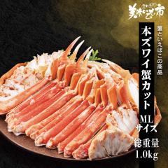 MLTCY {YCIJbg d1kg/ƂꂽāI̎s