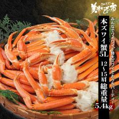 ����5L�T�C�Y �{�Y���C�I�r ���d��5.4kg 12�`15���iWEB����j/�Ƃꂽ�āI���������̎s