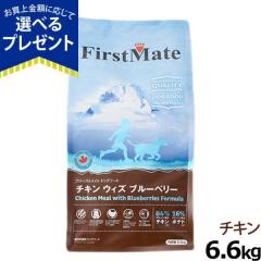 �y����ȊO���������z�t�@�[�X�g���C�g �`�L�� �E�B�Y �u���[�x���[ 6.6kg  �h���C�t�[�h �O���C���t���[ �����s�g�p �O���C���t���[