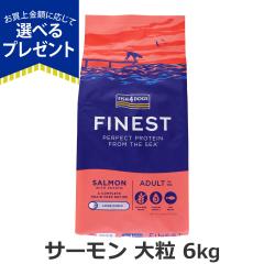 �y����ȊO���������z�t�B�b�V��4�h�b�O �t�@�C�l�X�g �T�[���� �嗱 6kg �� ���� �t�[�h �h�b�N �����s�g�p �O���C���t���[ �V���v�� �P