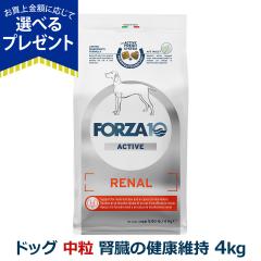 �y����ȊO���������z�t�H���c�@10 FORZA10 ���i�[���A�N�e�B�u �~�f�B�A�� ���� 4.0kg �� �t�H���c�@10 �t���̌��N�ێ� �H���Ö@�H �t��