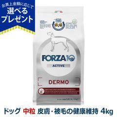 �y����ȊO���������z�t�H���c�@10 FORZA10 �f�����A�N�e�B�u �~�f�B�A�� ���� 4.0kg �� �t�H���c�@10 �畆��т̌��N�ێ� �H���Ö@�H ��
