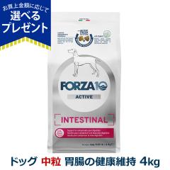 �y����ȊO���������z�t�H���c�@10 FORZA10 �C���e�X�e�B�i���A�N�e�B�u �~�f�B�A�� ���� 4.0kg �� �t�H���c�@10 �ݒ��̌��N�ێ� �H����