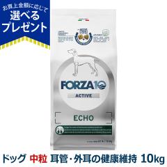 �y����ȊO���������z�t�H���c�@10 FORZA10 �G�R�[�A�N�e�B�u �~�f�B�A�� ���� 10kg �� �t�H���c�@10 ���ǁE�O���̌��N�ێ� �H���Ö@�H 