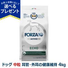 �y����ȊO���������z�t�H���c�@10 FORZA10 �G�R�[�A�N�e�B�u �~�f�B�A�� ���� 4.0kg �� �t�H���c�@10 ���ǁE�O���̌��N�ێ� �H���Ö@�H 