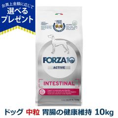�y����ȊO���������z�t�H���c�@10 FORZA10 �C���e�X�e�B�i���A�N�e�B�u �~�f�B�A�� ���� 10kg �� �t�H���c�@10 �ݒ��̌��N�ێ� �H���Ö@