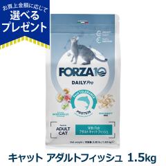 �y����ȊO���������z�t�H���c�@10 FORZA10 �f�C���[�v�� �A�_���g �t�B�b�V�� �L���b�g 1.5kg �L �t�H���c�@10 ��A�����M�[ �� �A�_��