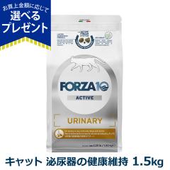 �y����ȊO���������z�t�H���c�@10 FORZA10 �E���i���[�A�N�e�B�u �L���b�g 1.5kg �L �t�H���c�@10 �H���Ö@�H ��A�� �A ��}�O�l�V�E��