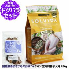 yXSiz\r_ SOLVIDA OCt[ `L qp 5.8kg {YYȂ̂yhbOp_CX