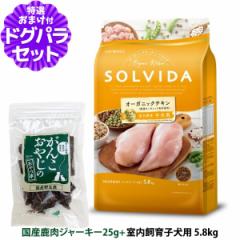 yXSiz\r_ SOLVIDA hbOt[h OCt[ `L qp 5.8kg{YW[L[25gyhbOp