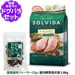 yXSiz\r_ SOLVIDA hbOt[h OCt[ `L 琬p 5.8kg{YW[L[25gyhbOp