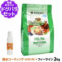 A[e~X (Artemis) tbV~bNX Lbgt[h tB[C2kg+R[eBOChA(p) 20ml