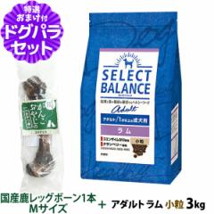 店内全品送料無料】アーガイルディッシュ キャットフード ワトル