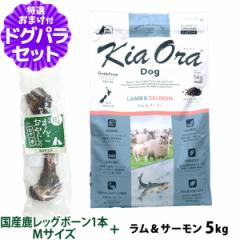 �y����ȊO���������z�L�A�I�� KiaOra �h�b�O�t�[�h ����&�T�[���� 5kg+���Y�����b�O�{�[�� 1�{M�T�C�Y
