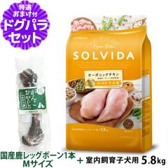 �y����ȊO���������z�\���r�_ SOLVIDA �h�b�O�t�[�h �O���C���t���[ �`�L�� ��������q���p 5.8kg+���Y�����b�O�{�[�� 1�{M�T�C�Y�y�h�b