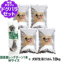 �y����ȊO���������z �h�b�O�t�[�h ���Y�� ���Y ���D�������͂�B�I�[���X�e�[�W 10kg+���Y�����b�O�{�[�� 1�{M�T�C�Y