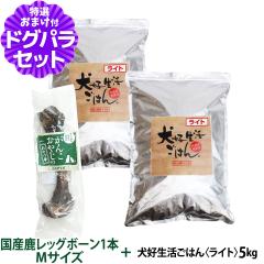 �y����ȊO���������z �h�b�O�t�[�h ���Y�� ���Y ���D�������͂�B���C�g 5kg+���Y�����b�O�{�[�� 1�{M�T�C�Y