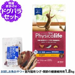 yXSiztBWJCt Physicalife Lp Ђ֐߂̌Nێp 1.8kg+Y 15g 