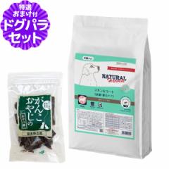 【店内全品送料無料】ナチュラルハーベスト スキン＆コート 皮膚・被毛ケア 6kg＋国産鹿肉ジャーキー 20g