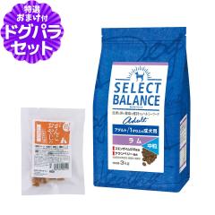�y����ȊO���������z�Z���N�g�o�����X �A�_���g ���� ���� 3kg+���Y�����܌{�W���[�L�[(���T�C�Y) �h�b�O�t�[�h ���� �r �h�b�N�t�[�h