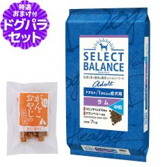 �y����ȊO���������z�Z���N�g�o�����X �A�_���g ���� ���� 7kg+���Y�����܌{�W���[�L�[20g �h�b�O�t�[�h ���� �r �h�b�N�t�[�h