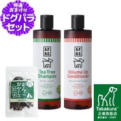 A.P.D.C. �e�B�[�c���[ �V�����v�[���{�����[���A�b�v�R���f�B�V���i�[ �Z�b�g 500ml�~�e1�{+���Y�����W���[�L�[(�������T�C�Y)
