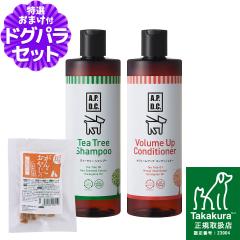 A.P.D.C. �e�B�[�c���[ �V�����v�[���{�����[���A�b�v�R���f�B�V���i�[ �Z�b�g 500ml�~�e1�{+���Y�����܌{�W���[�L�[(���T�C�Y)