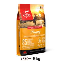 �y����ȊO���������z�I���W�� �p�s�[ 6kg �i�J�i�_�Y�j