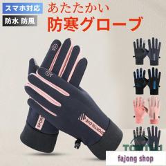 ミレー アウトドアグローブ COSMIC PRO GTX MITTEN(コズミック プロ