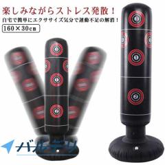 ウイニング・Winning サンドバッグ 20kg TB-6000（TB6000） 長さ100cm