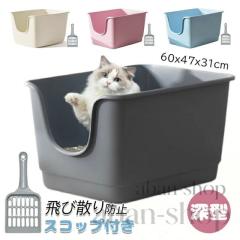 30cmキューブ水槽セット アクアリウム用品シンプル3点（水槽