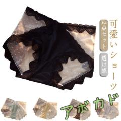 送料無料 女性用 スタンダードショーツ 2枚セット シームレス 可愛い インナー 下着 レース 透け感 女の子 レース レディース パンティ