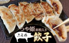 【ふるさと納税】つや姫米粉入り 三元豚餃子(32g×6個入×10パック) 株式会社 たませ