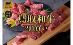 【ふるさと納税】【定期便】鳥取和牛2頭買い 12か月定期便 TB1