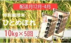 【ふるさと納税】定期便5回【12月〜4月】エコファーマーのひとめぼれ10kg×5回