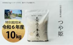【ふるさと納税】【令和6年産】至福の味わい、幸せ米 つや姫 10Kg