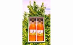 【ふるさと納税】清見オレンジ ジュース 100% 1000ml 2本セット