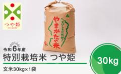 【ふるさと納税】令和7年8月下旬発送 つや姫30? 玄米 令和6年産 ja-tsgxb30-8s