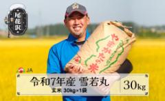 【ふるさと納税】令和7年産 新米 玄米 雪若丸 30kg 11月下旬発送 ja-ywgxa30-11s