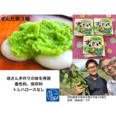 【ふるさと納税】香りが良い 「ずんだ餅」 12個(4個入×3箱) FZ23-545