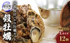 【ふるさと納税】元祖 厚岸バケツ牡蠣セット12個 北海道 牡蠣 カキ かき 魚介類 シーフード マルえもん