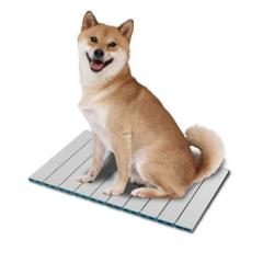 �S�����N���u �N�[���Ђ���A���~�{�[�h L(1��) �� �x�b�h �}�b�g