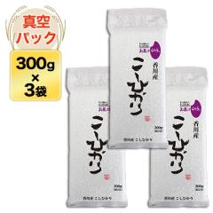 쌧Y RVqJ 300g(2) ~ 3pbN ^pbNyāE䂤pPbg֑z ߘa6(2024) NY