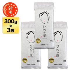 V QY Ђ߂  300g(2)~3pbNy䂤pPbg֑zy^pbNz ߘa7NY 2025NY