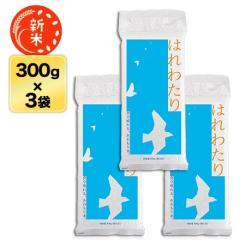 V XY ͂킽  2AA] 300g(2)~3pbNy䂤pPbg֑zy^pbNz ߘa7NY 2025NY