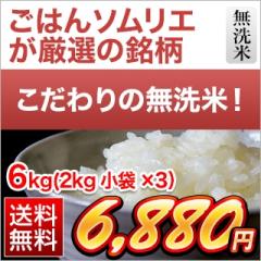  6kg 2kg~3 Y RVqJ y̖āz  ۊǉ\ f[U ߘa6N(2024N)Y
