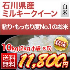 V ΐ쌧Y ~L[NC[  10kgi2kg~5܁jyz yđ܂͒f[UzyoׁzyYҎwāz ߘa7N