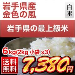 ��茧�Y ���F�̕� ���āq���̍ō����� �V�i��r6kg�i2kg�~3�܁j�y���������z�y�����o�ׁz�y�đ܂͒��f�[�U��z���� �ߘa7�N�Y 2025