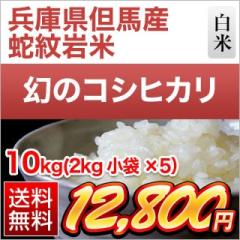 ���Ɍ��A�n�Y �R�V�q�J���y�֖��āz ���� �q3�N�A����A�]���r 10kg�i2kg�~5�܁j �y���������z�y�đ܂͒��f�[�U��z�y�����o�ׁz���� 