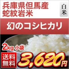 ���Ɍ��A�n�Y �R�V�q�J���y�֖��āz ���� �q2�N�A����A�]���r 2kg �y���������z�y�đ܂͒��f�[�U��z�y�����o�ׁz���� �ߘa7�N�Y 202